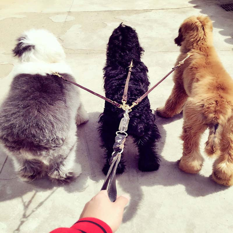 Removable Two Dog Leash One Tow Two Pairs Of Large Dog Cowhide Dog Leash Dog Leash Medium And Large German Shepherd Golden Retriever