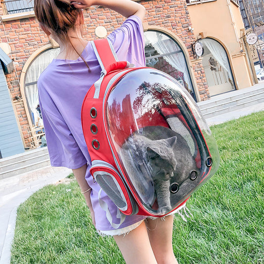 Spot New Pet Outing Bag Portable Space Capsule Transparent Cat Backpack