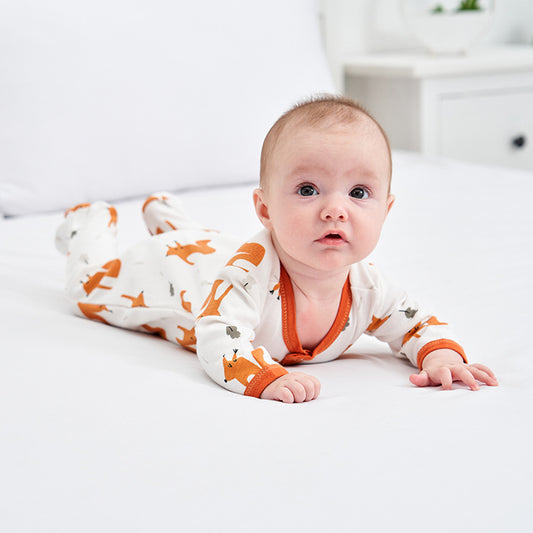 Newborn Jumpsuit, Autumn Style Male And Female Baby Jumpsuit, Long-sleeved Baby Jumpsuit, Baby Foot-covering Jumpsuit