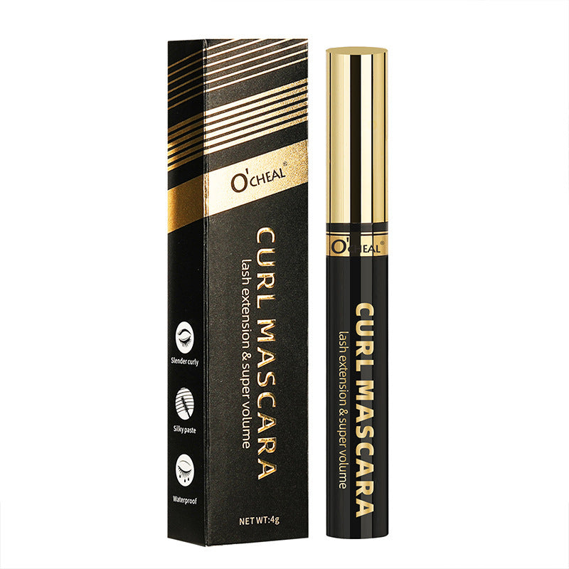 Thick Curl Natural Eyelashes Base Cream 24H Shaping Smear-proof Makeup Not Smudge Waterproof And Sweat-proof