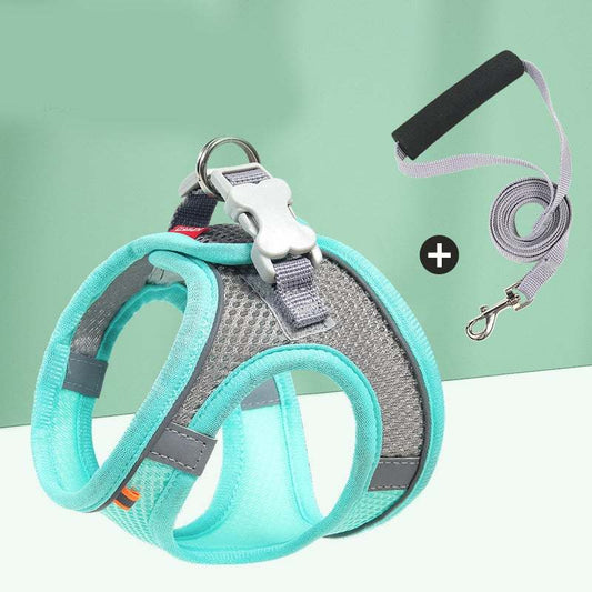 Breathable Frenchie Harness and Leash