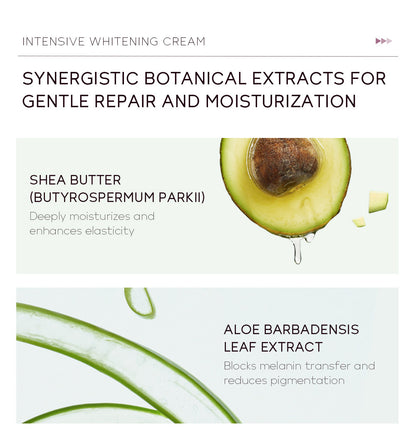 Underarm Cream 30g Moisturizing Body Lotion