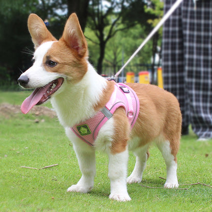 Dog Harness Pet Supplies